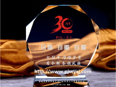 公司周年紀(jì)念品 sj-029